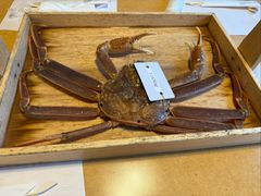 -蟹道乐(道顿堀本店)