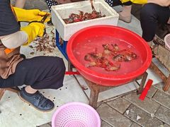 -聂师傅油焖大虾