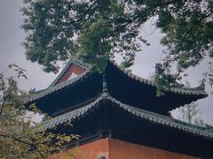 -荆州博物馆