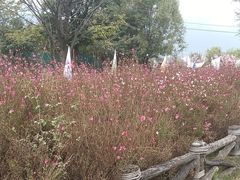 -大理洱海