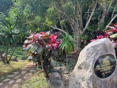 -中国科学院西双版纳热带植物园