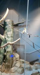 -未来动物城动物主题公园(大悦城店)