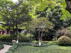 -十八棵（老龙井）御茶园(老龙井店)