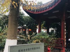 -杭州西湖风景名胜区-满觉陇四眼井
