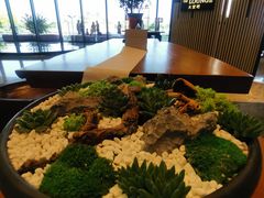 -东方美谷JW万豪酒店·The lounge大堂吧
