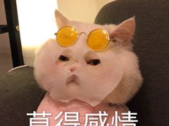 -渭塘酒家(生态园店)