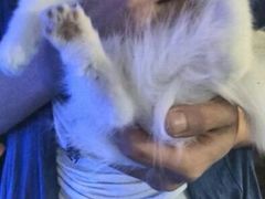 android_upload_pic-Sirena海妖日咖夜酒