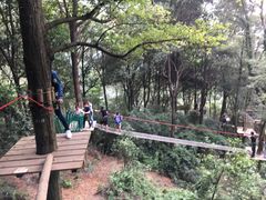 -衢州大荫山丛林飞越探险乐园