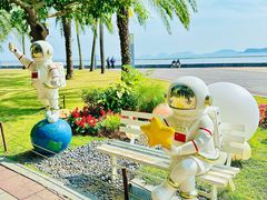 -野狸岛