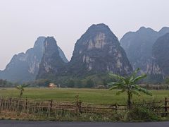 -明仕田园