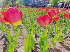 -长春公园(普阳街道)