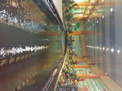 -济南方特东方神画