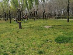 -洨河生态公园