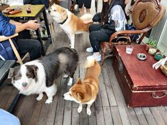 -餐酒吧Com-ing Bar(上海路店)