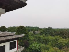 -合肥三国新城遗址公园