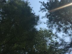-新江湾城公园