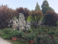 -北京市劳动人民文化宫(太庙)