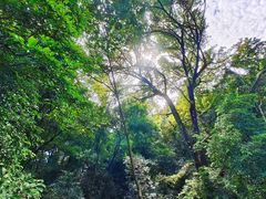 -飞霞风景名胜区