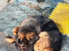 -围炉·云南铜瓢牛肉火锅(桐柏路店)