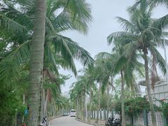-白沙门生态公园