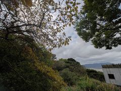 -普陀山风景区-佛顶山