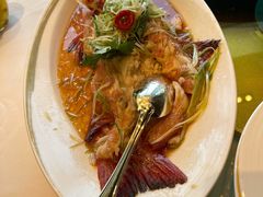东星斑清蒸-金轩中餐厅 Jin Xuan(浦东丽思卡尔顿酒店)