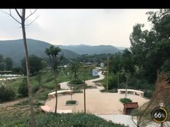 -铜川市金锁关石林