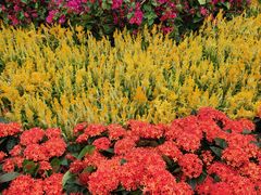 -神光山国家森林公园