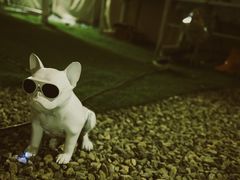 -安德鲁户外烧烤帐篷营地(马泉营店)