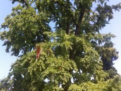 -金堂县云顶石城风景区