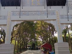 -南汇桃花村