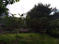 -玲珑塔公园