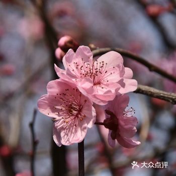避免扎堆，为自己健康着想，也为他人