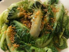 油麦菜-三美肉骨茶(柏威年广场店)