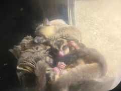 -太平洋海底世界