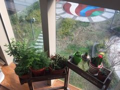 -Dark Horse·黑马蛋糕·低脂·低糖淡奶(金匙望湖大厦店)