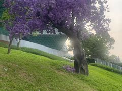 -雲宜贵宾舍酒店(深圳龙东地铁站店)