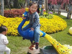 -学知乐教育·幼小衔接·小学科辅导(嘉定镇校区)