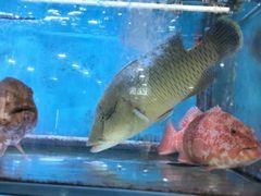 -钱塘府海鲜餐厅