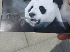 -武汉动物园