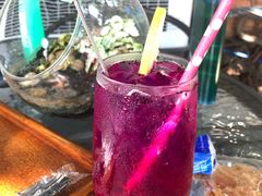 -柴犬高等学院·狗咖·柴犬售卖·宠物训练