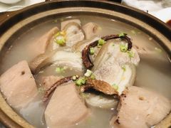 -点都德·毕德寮