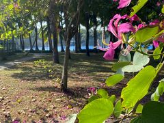 -白沙门生态公园