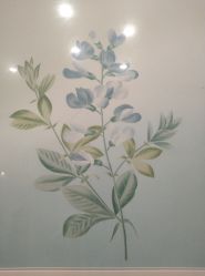 -颜蕾医美·黄金微针·水光·玻尿酸·超声炮·抗衰中心