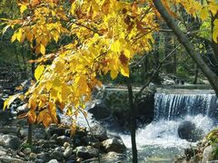 -玉渡山自然风景区