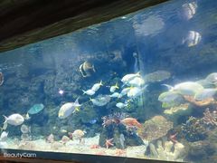 -郑州海洋馆