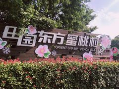 -田园东方蜜桃村的田野营地