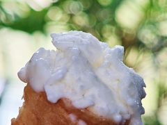 -喜洲吧·江畔老船厂·庭院餐厅(喜临院店)