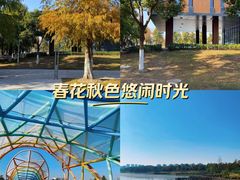 -春花秋色城市公园