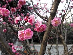 -沙河三洞古桥公园